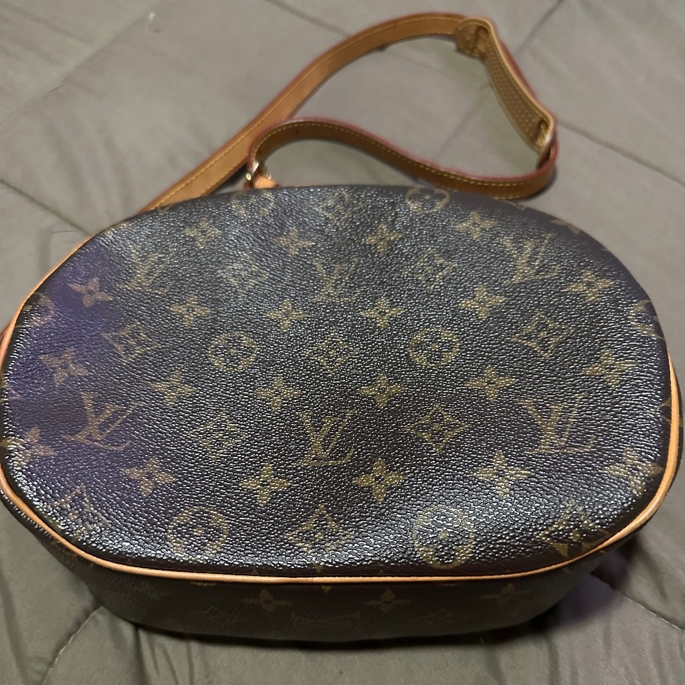 Bloise louis vuitton bag